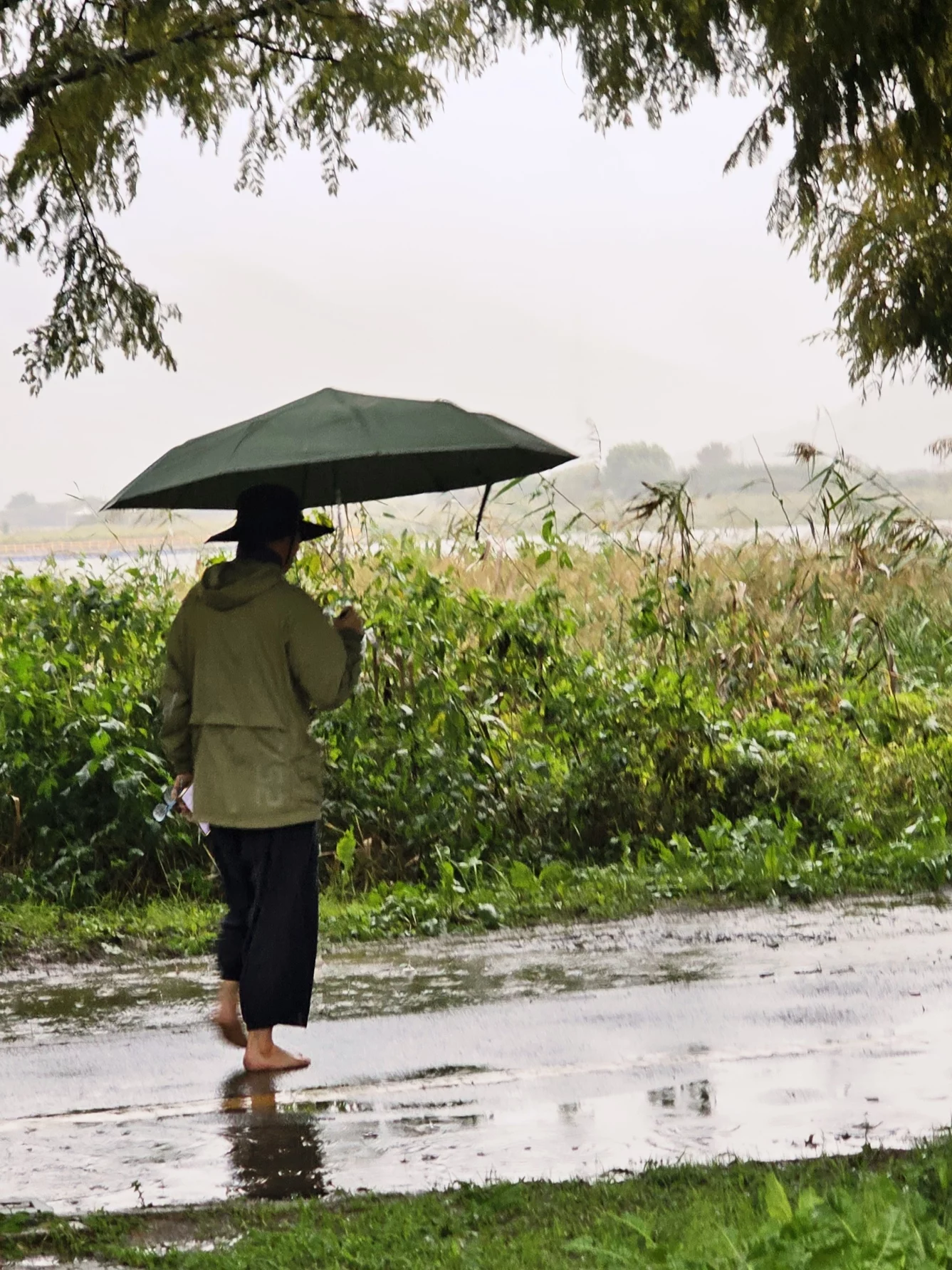Rain starting to fall during the morning ride through Busan residential areas